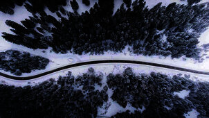 Bird eye’s view!, by Kimon Maritz